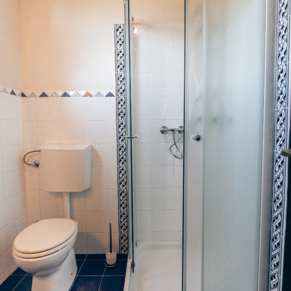 Bathroom / WC, Stancija Negričani, Stancija Negričani with Pool in Istria, Croatia Divšići